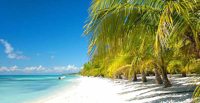 Saona Adventure VIP